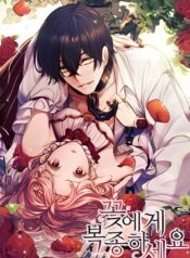 Obey (1)