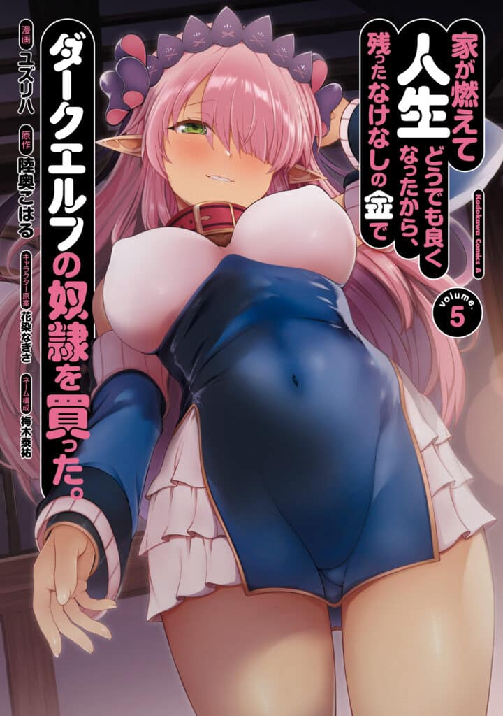 Ie Ga Moete Jinsei Dou Demo Yoku Natta Kara, Nokotta Nakenashi No Kin De Dark Elf No Dorei O Katta