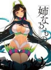 thumbnail (6)