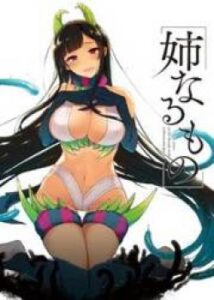 Ane Naru Mono