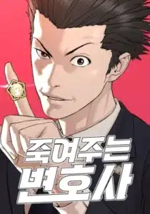Killing Lawyer