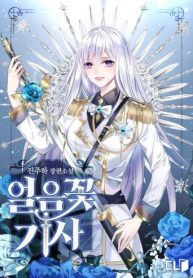 Ice Flower knight